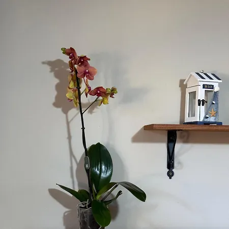 アパート Casa Archi チェファル