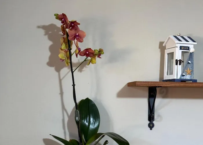 Apartamento Casa Archi Cefalù